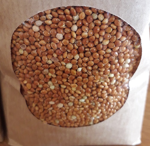 BIO semená na klíčenie a mikrozeleninu Proso 500 g